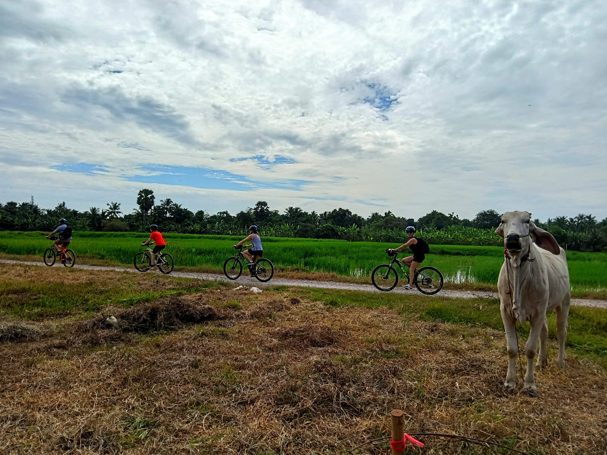 Phnom Penh Cycling To Siem Reap 6 Days